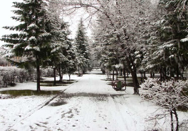 Воздух Горно-Алтайска стал втрое чище после перевода котельных города на газ