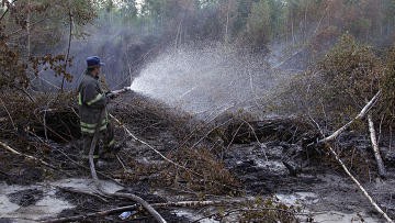 Гидрометцентр не прогнозирует сильных торфяных пожаров в Подмосковье в 2012 году