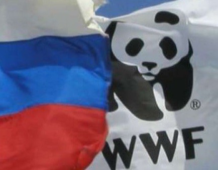 WWF переживает за сохранность объектов ЮНЕСКО в РФ