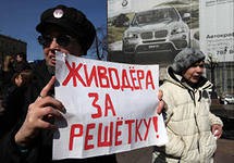 Лишь 9%  россиян одобряют действия догхантеров