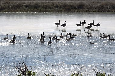 Во вторник в Москве будет тепло 