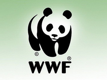 WWF надеется, что теперь обещание о закрытии Байкальского ЦБК будет выполнено