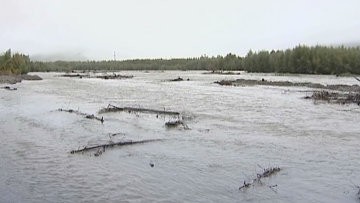 Превышение нормы водности рек может вызвать большое половодье в Приморье 