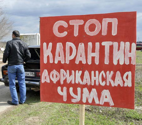 В охотхозяйстве Тульской области объявлен карантин по АЧС