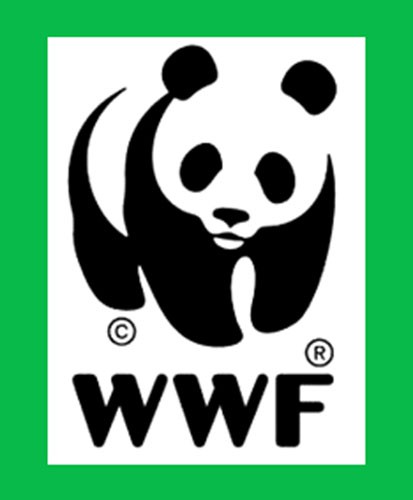 В ходе "Часа Земли" WWF пожертвовали российские компании около 1,4 млн рублей