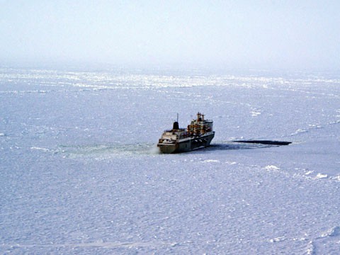 В Японском море у судна с россиянами отказал двигатель