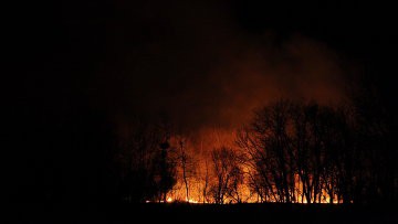 Девять природных пожаров действуют в Приамурье