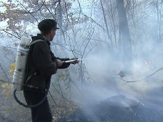 Крупный природный пожар в Ростовской области ликвидирован 