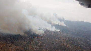 За сутки на Дальнем Востоке ликвидировали 24 лесных пожара