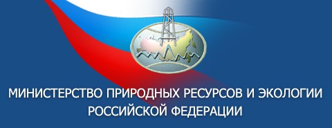 Замминистра Попов назначен первым замглавы Минприроды РФ 