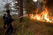 Высока вероятность возникновения пожаров в лесах Подмосковья