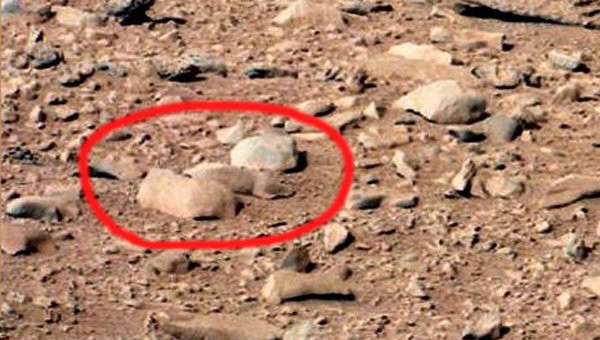 Марсоход Curiosity сфотографировал сурка на Марсе