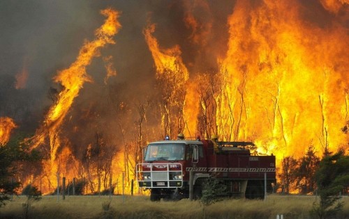 Пожар уничтожил более 50 тыс га леса в Испании, эвакуированы 1,7 тыс человек