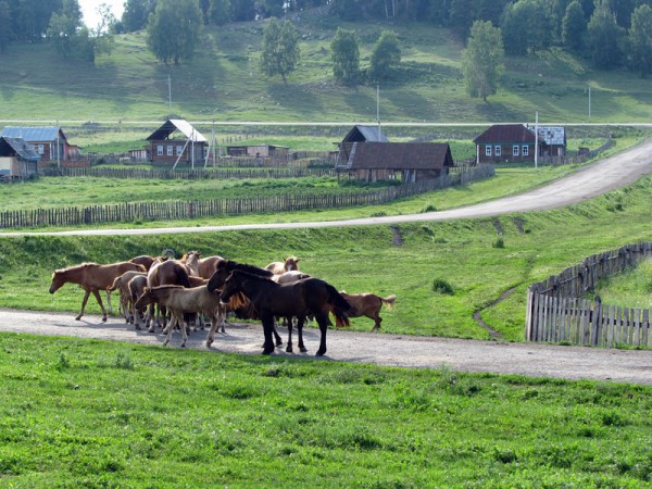 Правительство вложит в село 300 миллиардов рублей