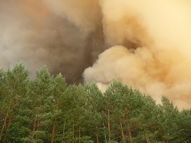 Лесной пожар тушат на горе Витоша, одном из туристических символов болгарской столицы