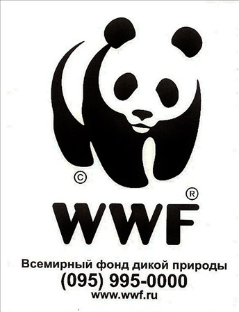 WWF составил онлайн-карту состояния лесов юга Дальнего Востока