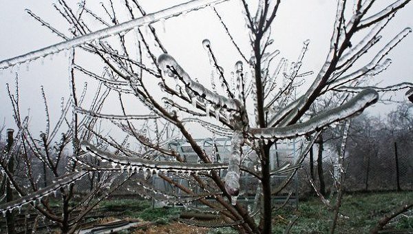 Власти Краснодара могут ввести в городе режим чрезвычайной ситуации