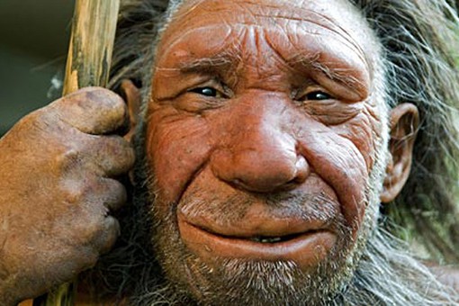 Европеец имеет большее сходство с неандертальцем, чем африканец