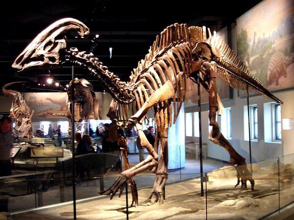 В Аргентине обнаружили "кладбище динозавров"