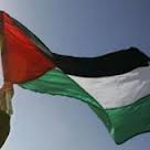 В мире поддержали Палестину.