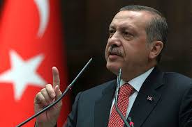 Эрдоган призывает изменить конституцию.