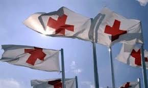 Красный Крест уже осматривает состав российского "гуманитарного конвоя".