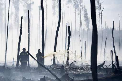 Возгорание торфа в Тверской области