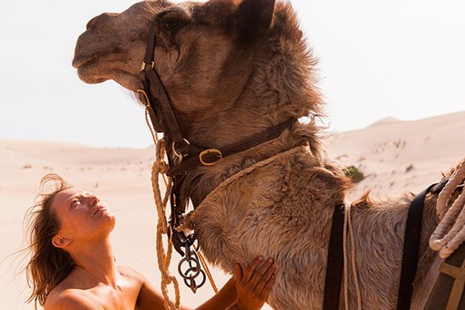 Путешествие на верблюде или новый фильм с талантливой актрисой
