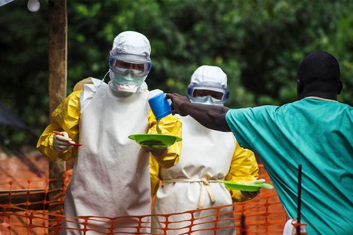 С помощью разработанной вакцины можно вылечить Эболу