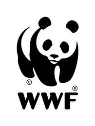 WWF поддерживает обращение Госдумы к премьеру РФ по поводу подготовки запуска БоГЭС