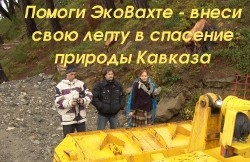 МЧС опровергает слухи о возможном землетрясении в Сочи