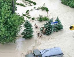 Новые оползни близ Неберджаевского водохранилища обнаружены на спутниковых снимках