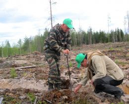 WWF намерен к 2017 г создать на Камчатке первую в России рыбохозяйственную заповедную зону