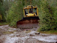 Вырубка леса под строительство рудника началась в Хибинах