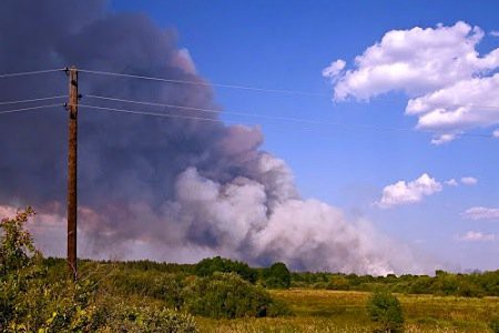 Количество лесных пожаров в РФ за сутки почти не изменилось, действует 201 очаг 