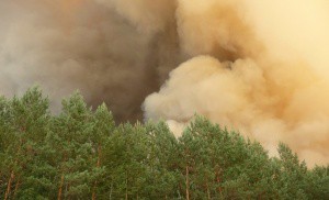 Площадь лесных пожаров в Красноярском крае за сутки возросла вдвое