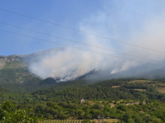 Пожар в лесном заповеднике в Крыму локализован - МЧС Украины