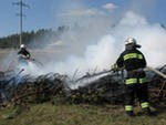 Площадь пожаров в Томской области за сутки сократилась на четверть