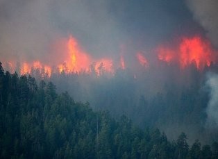 Эвакуация жителей поселка на Урале, к которому приближался лесной пожар, не требовалась