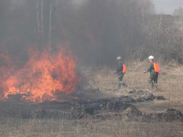 Площадь, пройденная лесным пожаром в Курганской области, составила 4,5 тыс га