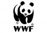 WWF России рассчитывает, что законопроект о защите морей Арктики будет принят осенью