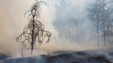 Более 1,6 тыс га леса продолжает гореть в Сибири