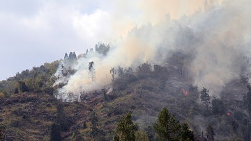 Основные очаги пожара в нацпарке близ Алма-Аты ликвидированы 