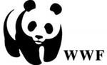 WWF России призывает граждан присылать замечания к проекту лесной политики РФ