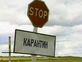 Карантин продлен в селе на Украине, где была выявлена сибирская язва