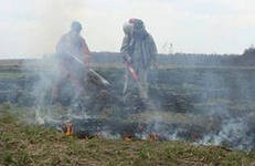 Один из микрорайонов Львова оказался в дыму от горящих в области торфяников