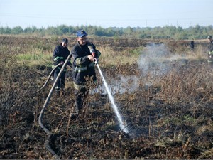 Возгорание торфяников во Львовской области ликвидировано