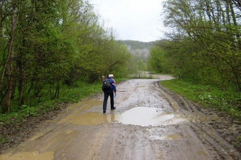 Семеро подростков пропали на границе Ленинградской и Новгородской областей 