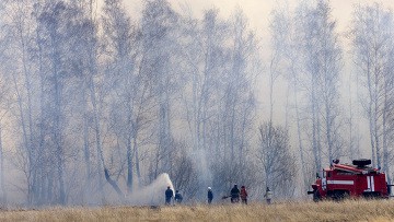 Число лесных пожаров в РФ за выходные выросло почти на 40%, до 26 очагов 