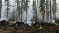 Пожар в бурятском нацпарке потушить пока не удается